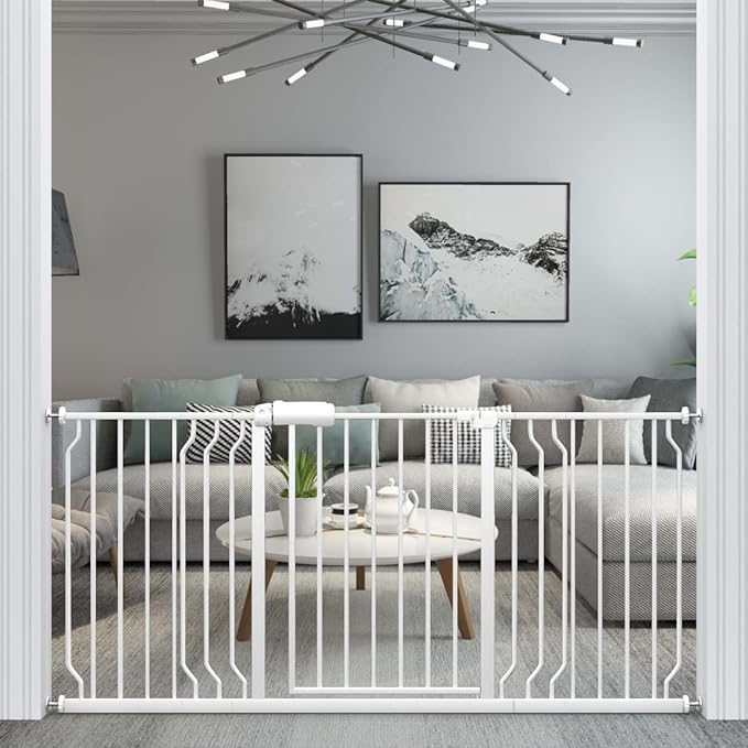 Baby Gates & Gate Extensions