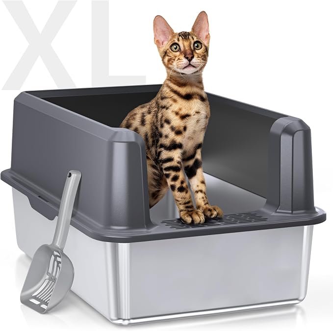 Litter & Housebreaking