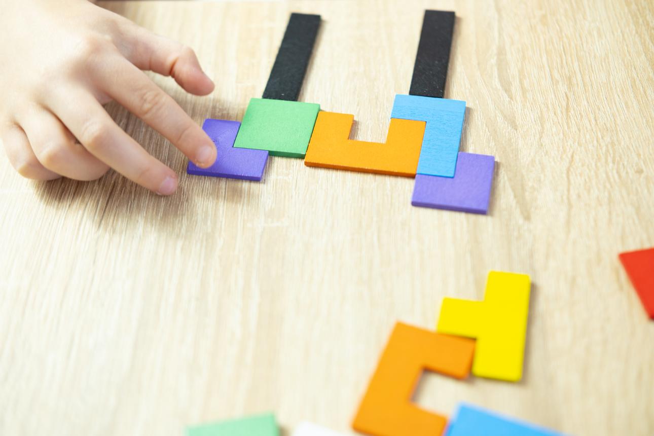 Problem Solving Toys