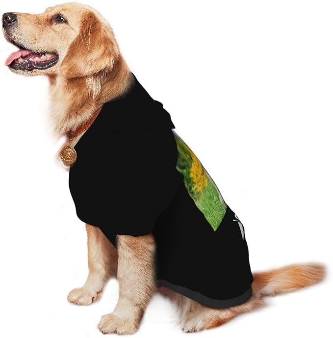Personalized Dog Hoodie Customized - Image 4