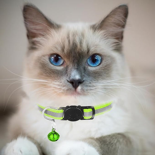 2 Pack Cat Collars Quick Release Reflective Kitten Collar - Image 2