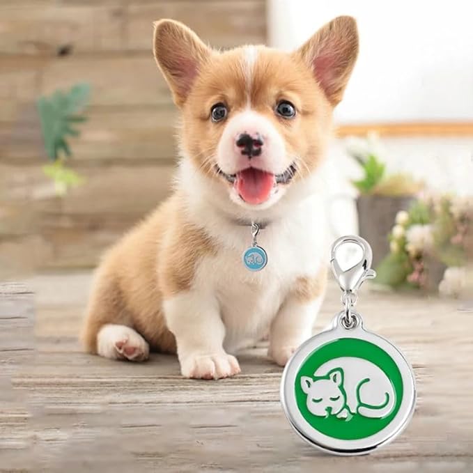 Personalized Pet ID Tags for Kittens and Cats - Image 4