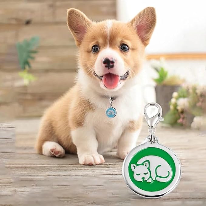 Personalized Pet ID Tags for Kittens and Cats - Image 4