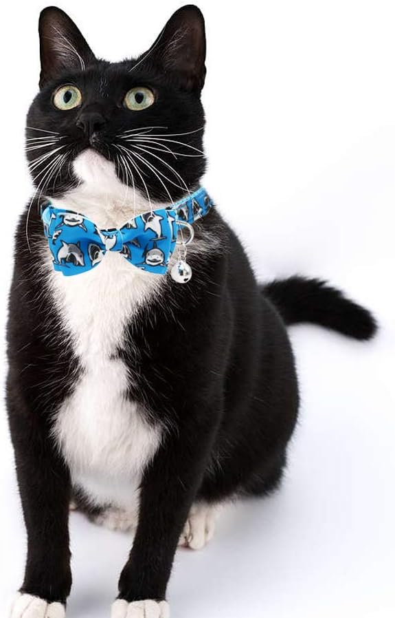 3 Pack Cat Collar Breakaway - Image 6