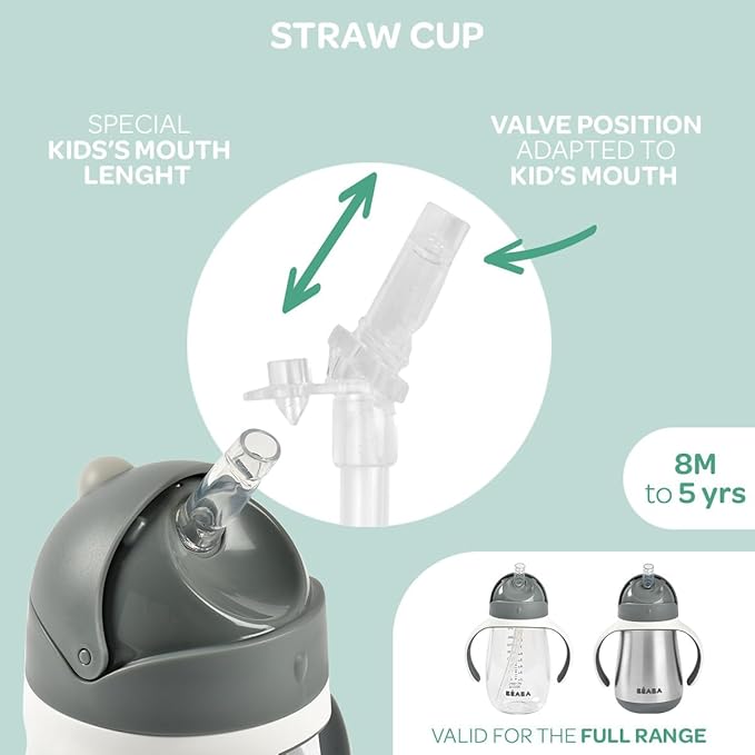 Beaba Stainless Steel Straw Sippy Cup, Insulated Toddler Cups Spill Proof with Removable Handles, Made with High Grade Stainless Steel, 8+ months, 8.5 oz Oat