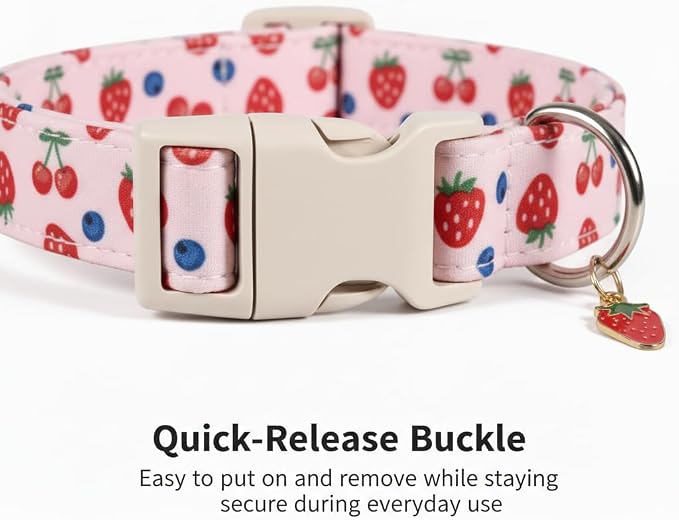 Pink Dog Collar, Female Dog Collar - Image 3