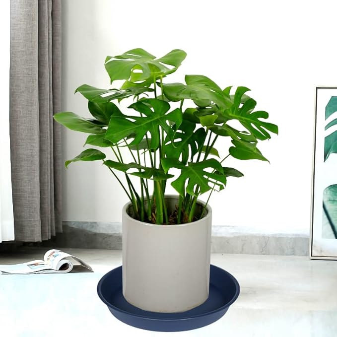 4 Pack of 18 19 inch Plant Saucer Drip Tray, Heavy Duty Deep Plant Saucers - Image 5