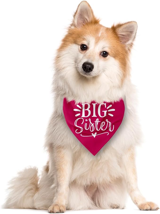 Big Sister Dog Bandana, Deep Pink Dogs Scarf Accessories, Pet Triangle Scarf - Image 2