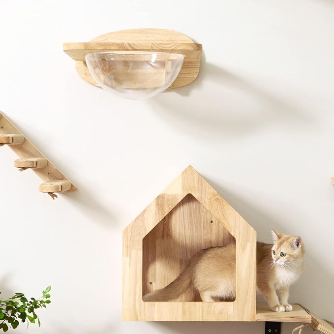FUKUMARU Cat Wall Furniture Set, Transparent Capsule Kitten Walls Shelves - Image 9