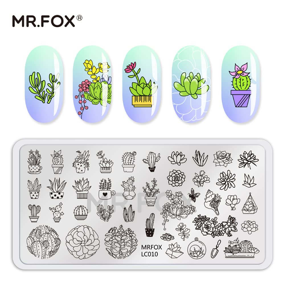 MR.FOX Nail Stamping Plate Set, 5Pcs Nail Art Stamp Kit Templates for Women with Plenty of Images
