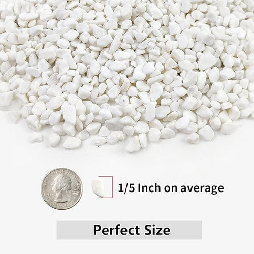 10LB Succulent and Cactus Gravel, 1/5 Inch White Natural Decorative Polished - Image 2