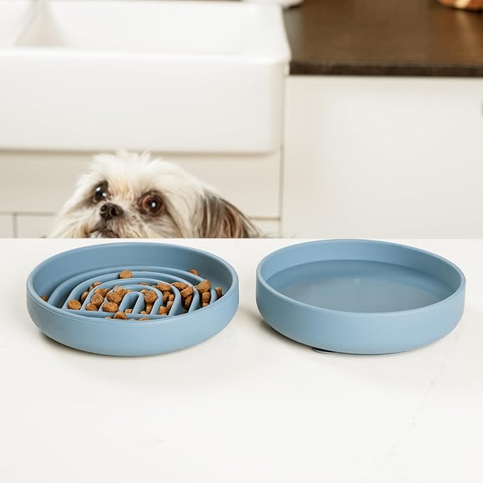 Should We Go? Slow Feeder for Dogs & Cats, The Slowdown Bowl Silicone Slow Eating Mealtime Solution with Modern Lick Mat Design, Reduces Gulping, Fits 1 Cup, 6” Across x 1.25” Tall, Small-Honey