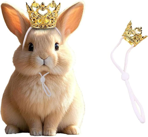 1PCS Crown Tiara Headband for Cat Dogs Puppy Birds Ducks Chicken Rabbit Hamster by Unknown