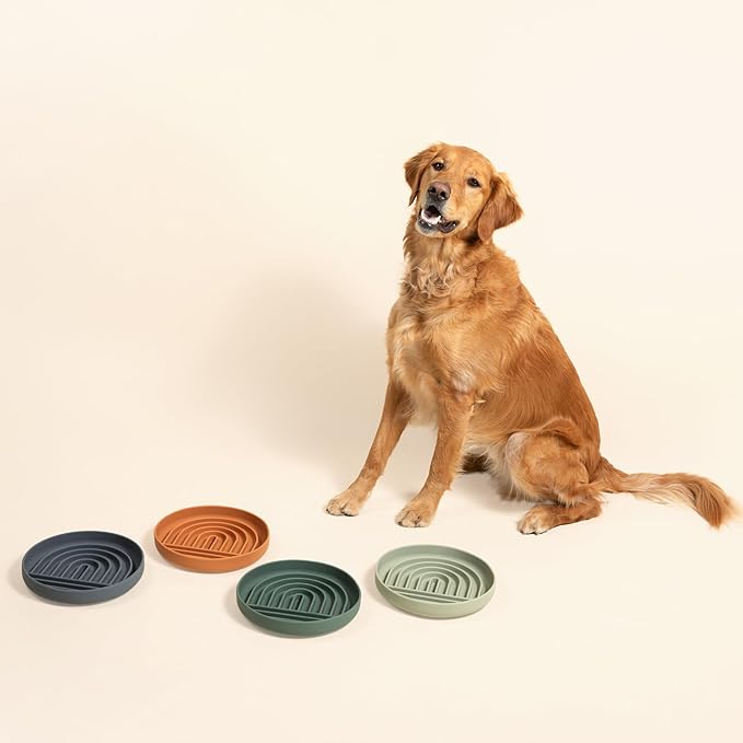 Should We Go? Slow Feeder for Dogs & Puppies, The Slowdown Bowl Silicone Slow Eating, Modern Lick Mat Design, Reduces Gulping, Fits 2.5 Cups 9.5” Across x 1.5” Tall, Mealtime Challenge, Large-Charcoal
