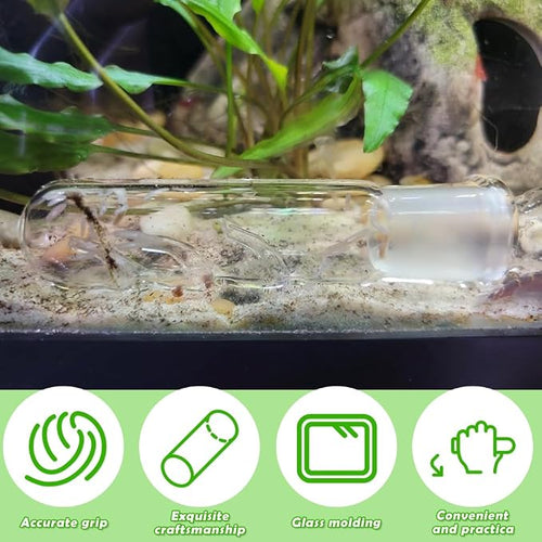 2 Pack Clear Glass Planaria Trap Catch Trap Aquarium Cleaning Supply - Image 2