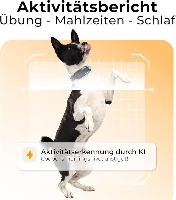 Invoxia Minitailz - Image 6