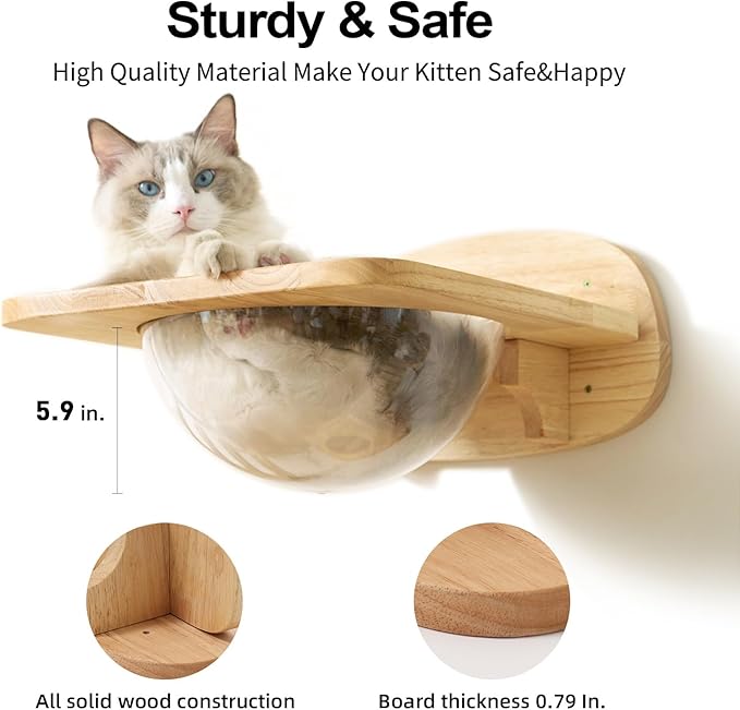 FUKUMARU Cat Wall Furniture Set, Transparent Capsule Kitten Walls Shelves - Image 4