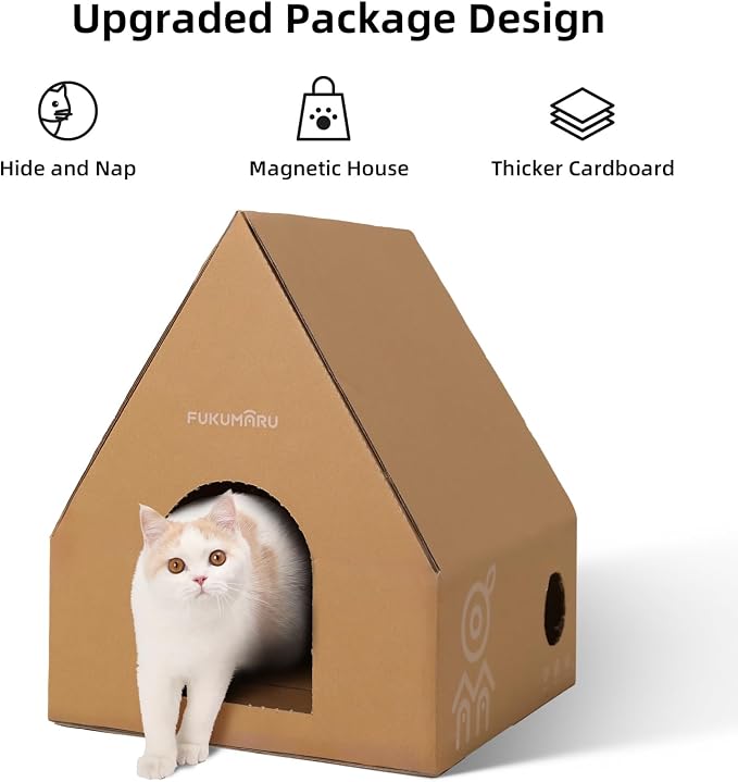 FUKUMARU Cat Wall Furniture Set, Transparent Capsule Kitten Walls Shelves - Image 5