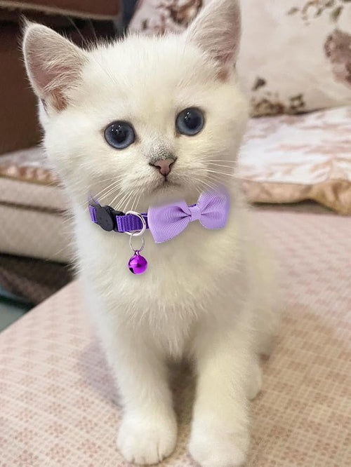 16 PCS Cute Cat Collar with Bells Kitten Collars - Image 2