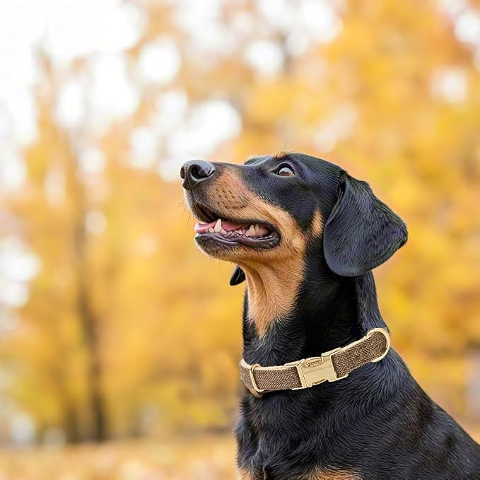 Soft Cotton Hemp Dog Collar - Image 3