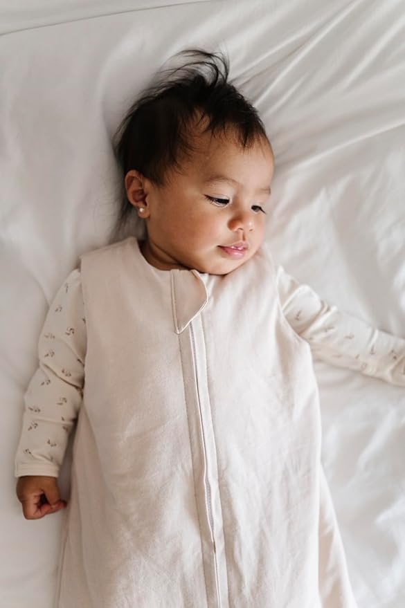 Ely's & Co. Winter Sleep Sack, Wearable Blanket with Soft Quilting, Transitional Swaddle for Baby Boy/Girl, 1.0 TOG