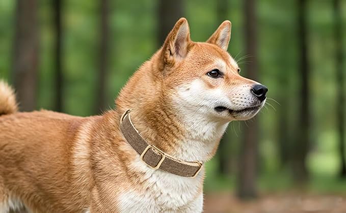 Soft Cotton Hemp Dog Collar - Image 4