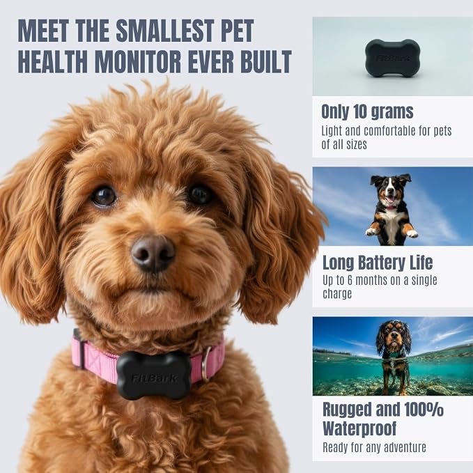 FitBark 2 Dog Activity Monitor | Health & Fitness Tracker - Image 2