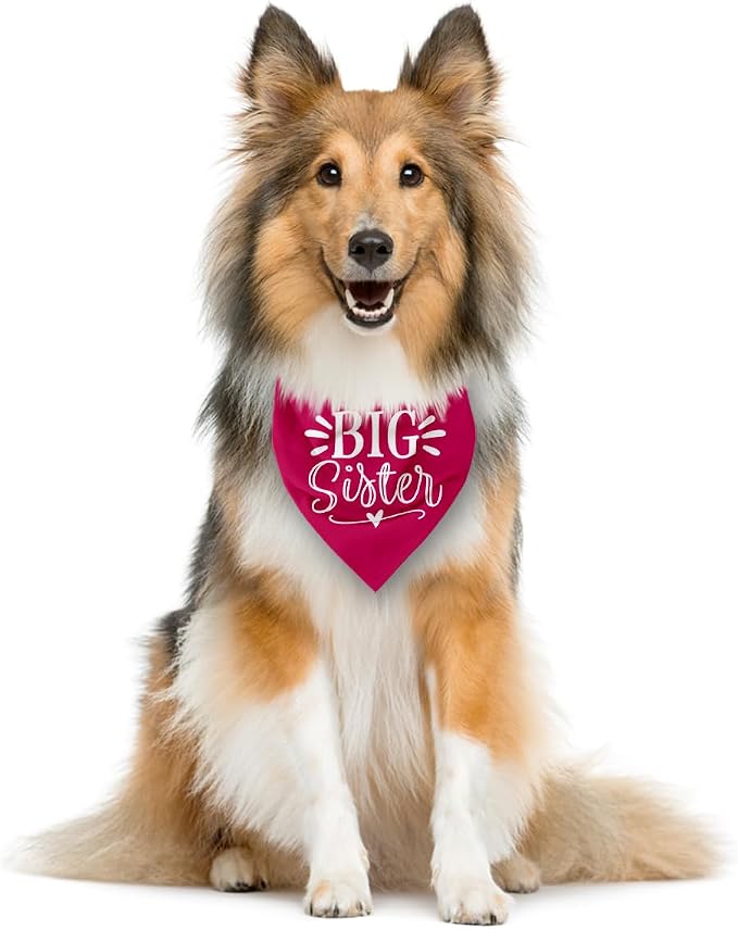 Big Sister Dog Bandana, Deep Pink Dogs Scarf Accessories, Pet Triangle Scarf - Image 4