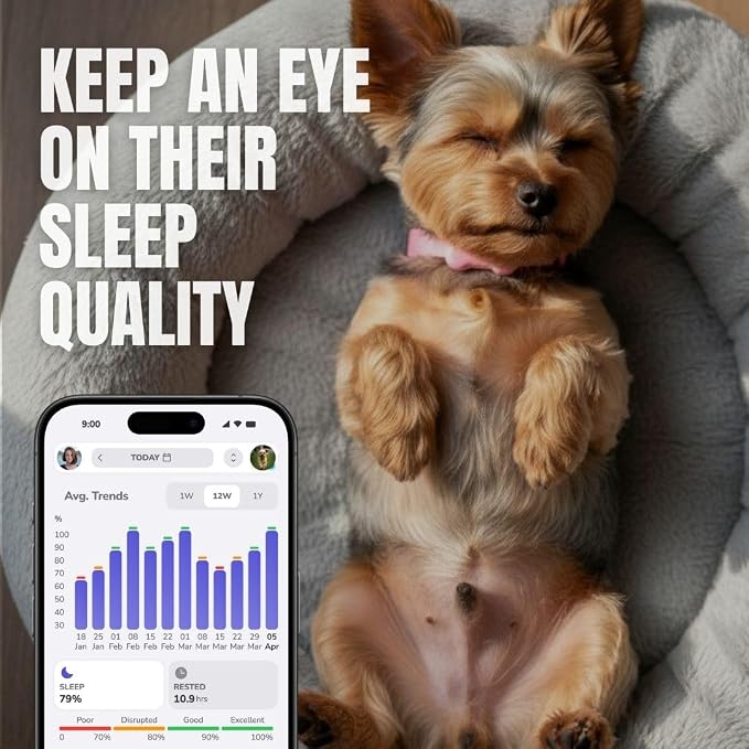 FitBark 2 Dog Activity Monitor | Health & Fitness Tracker - Image 4