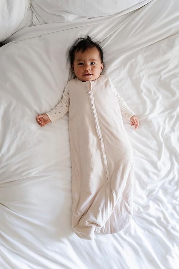 Ely's & Co. Winter Sleep Sack, Wearable Blanket with Soft Quilting, Transitional Swaddle for Baby Boy/Girl, 1.0 TOG