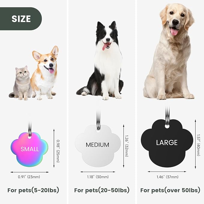 Dog Tags Engraved for Pets - Image 4