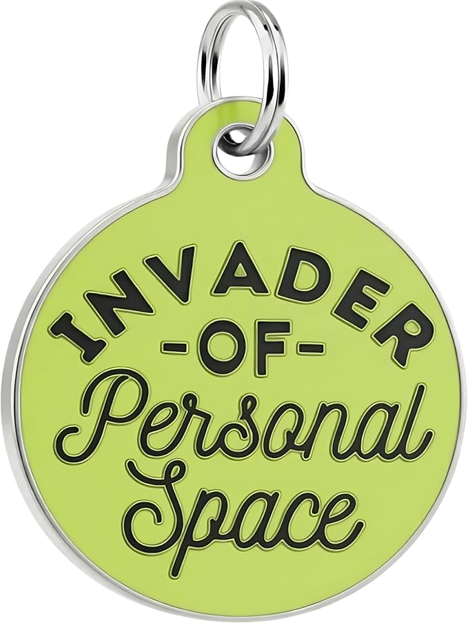 Bad Tags Personalized Dog and Cat ID Tags in 25+ Designs and 2 Sizes by BadTags
