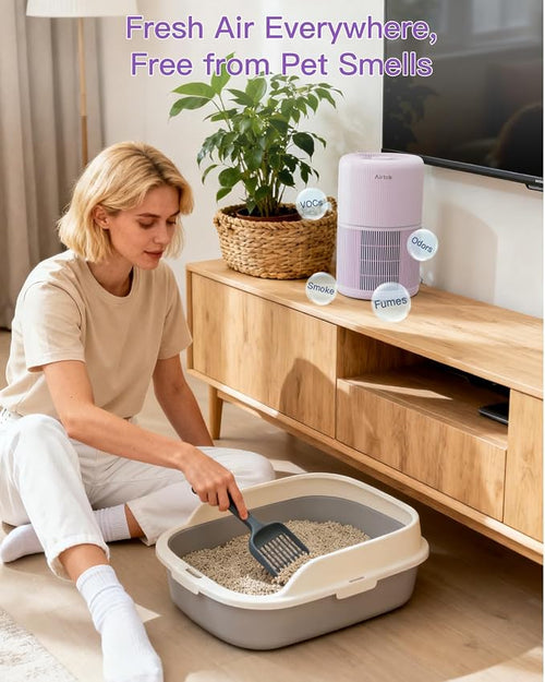 2 Pack Air Purifier for Home Bedroom - Image 2
