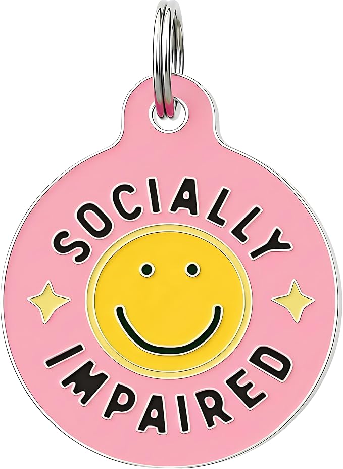 Bad Tags Personalized Dog and Cat ID Tags in 25+ Designs and 2 Sizes by BadTags
