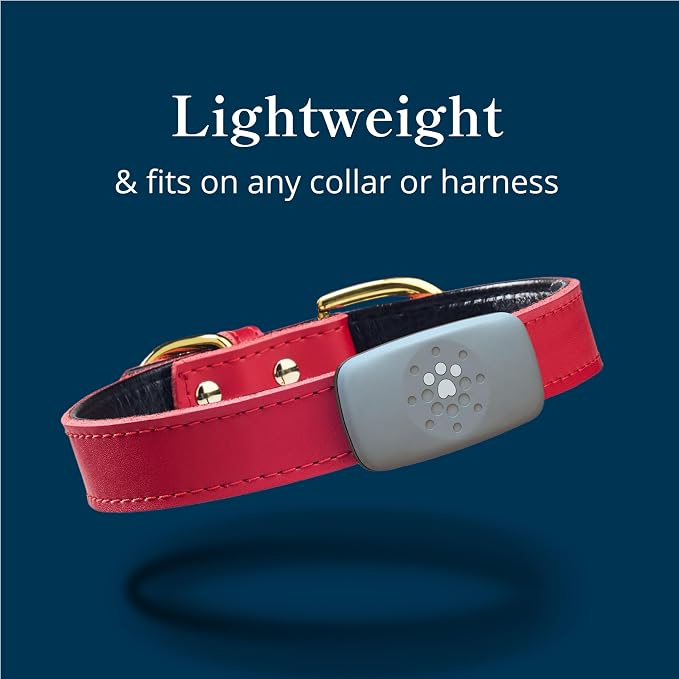 Petivity Smart GPS and Activity Pet Tracker - Image 8