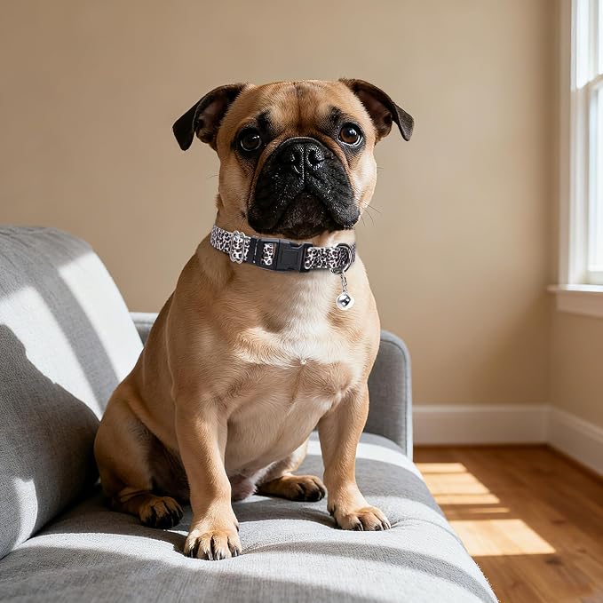 Puppy Collar with Bell，Nylon - Image 5