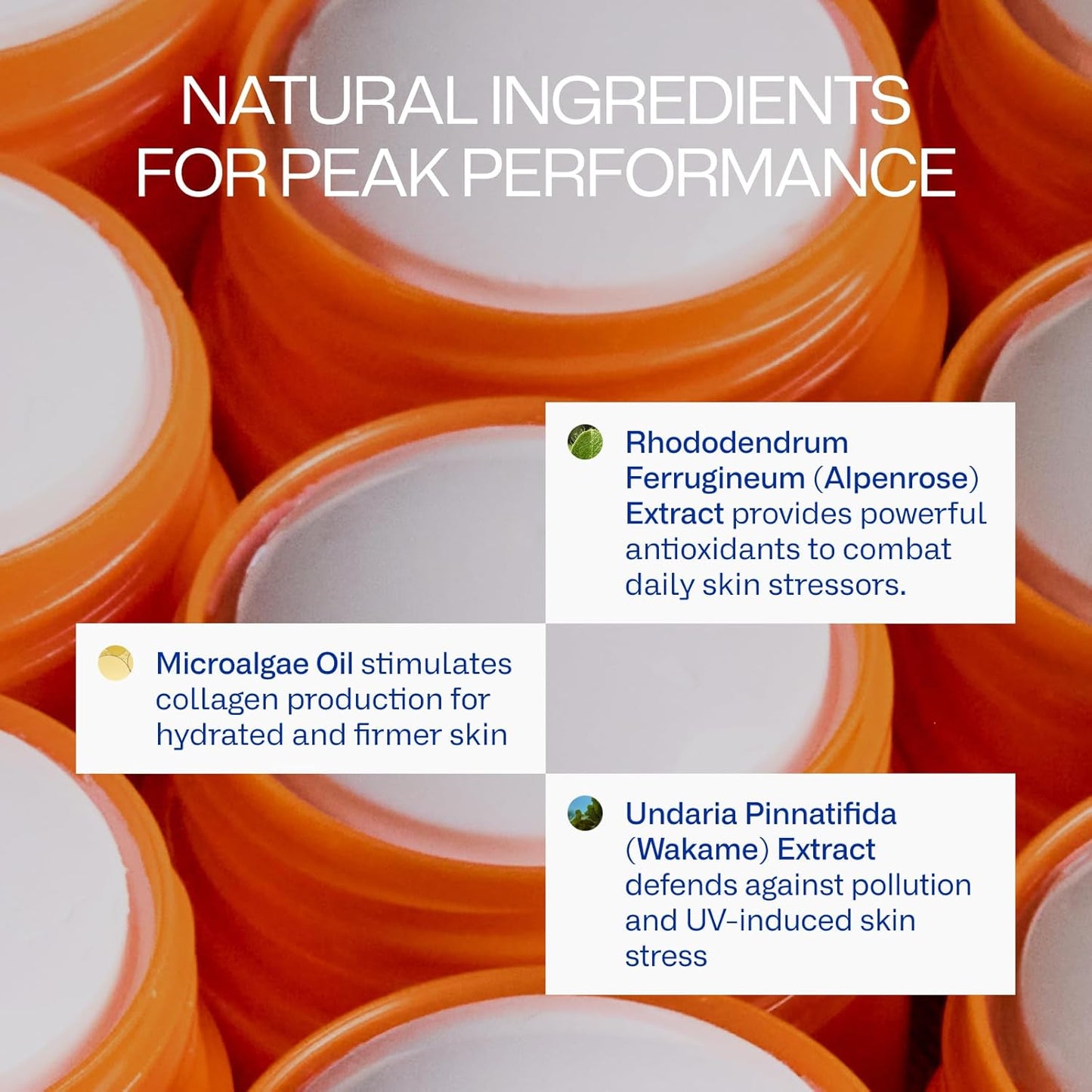 Freaks of Nature Peak Performance Sun Stick SPF 50 | 100% Mineral Sunscreen | Lightweight, 40-Min Water-Resistant | Plant-Based, Eco-Friendly, Reef-Safe, Cruelty-Free | All Skin Types | 0.70 oz