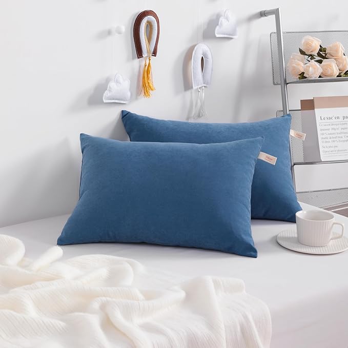NTBAY Tiny Pillows, Down Alternative 7"x11" Microfiber Mini Pillow for Travel, Pets, Soft Machine Washable Small Pillows for Neck, Wrist, Lumbar and Knee, Denim Blue
