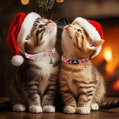 2 Pack Christmas Cat Collars - Image 2