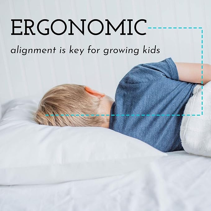Little Sleepy Head Toddler Pillow with Pillowcase 13x18 - Kids Pillow for Sleeping - Better Neck Support Ergonomic Pillow and Toddler Pillowcase - Best Pillows for Kids (Whimsy Garden)