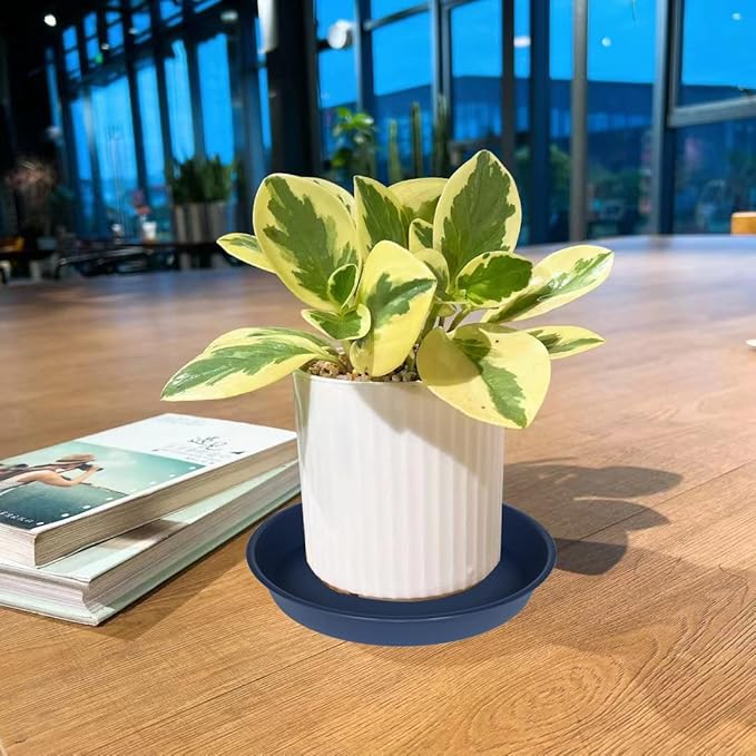 4 Pack of 18 19 inch Plant Saucer Drip Tray, Heavy Duty Deep Plant Saucers - Image 7