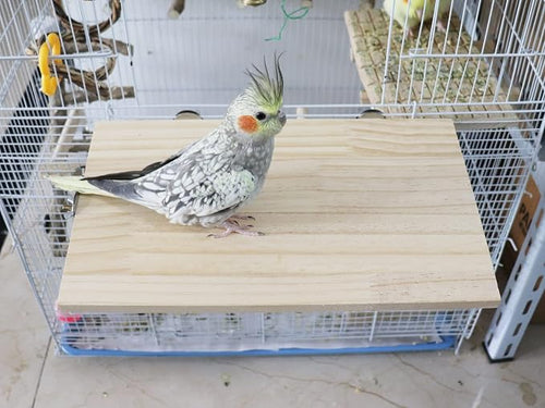 13.6×7.9 Inches Large Bird Perch Stand Platform, Natural Wooden Small Animals - Image 2