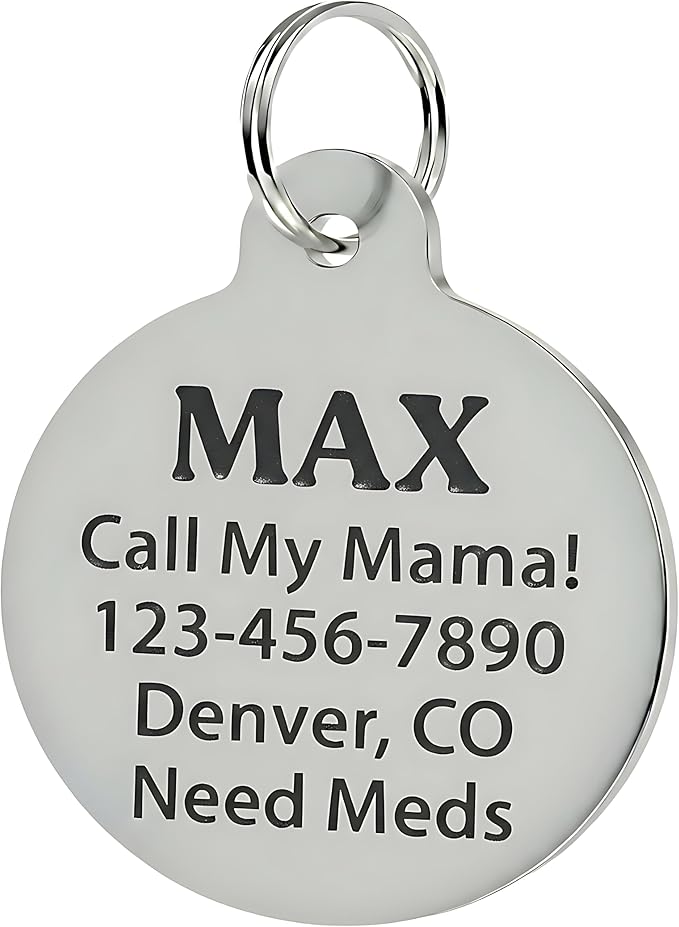 Bad Tags Personalized Dog and Cat ID Tags in 25+ Designs and 2 Sizes - Image 2