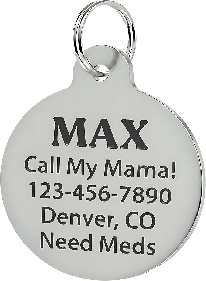 Bad Tags Personalized Dog and Cat ID Tags in 25+ Designs and 2 Sizes - Image 3