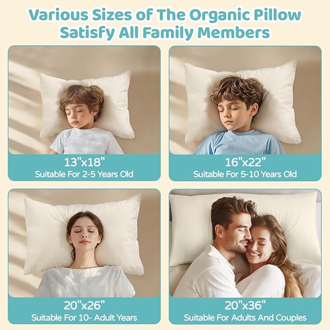 LOFE Organic Kids Pillow - 16x22 Youth Pillow 2 Pack with 100% Organic Cotton Shell, Adjustable Loft Organic plilow, Twin Pillow, Machine Washable, Soft, Perfect for Kids&Youth&Children