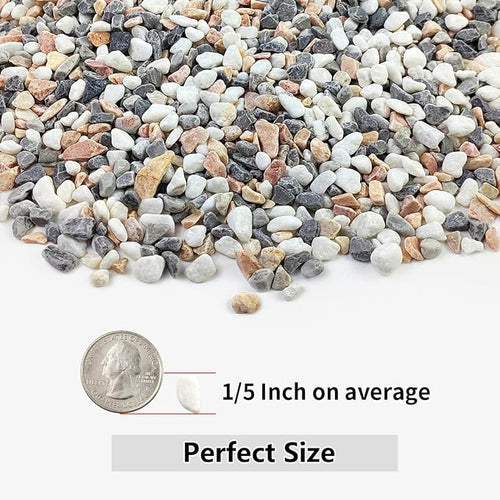 10LB Succulent and Cactus Gravel Pebbles, 1/5 Inch Natural Decorative Polished - Image 2