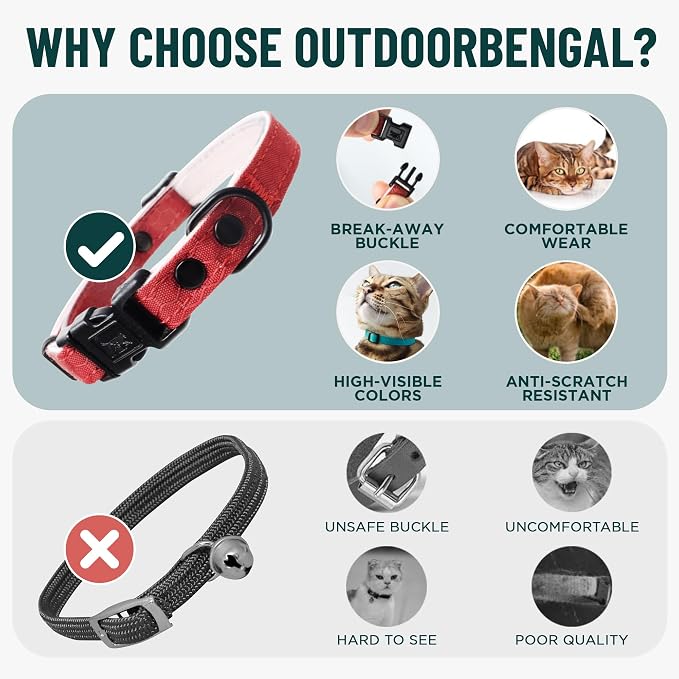 OutdoorBengal Pink Breakaway Kitten Collar - Image 3