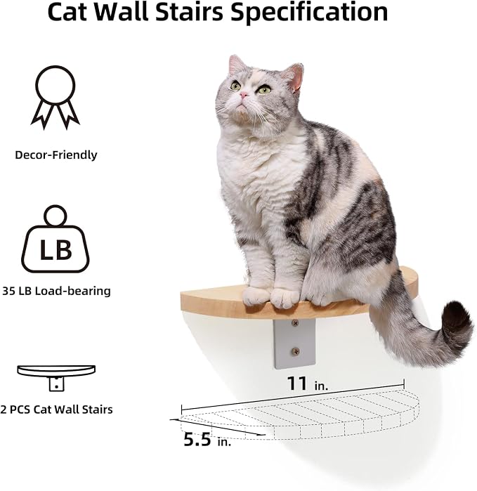FUKUMARU Cat Wall Furniture Set, Transparent Capsule Kitten Walls Shelves - Image 3
