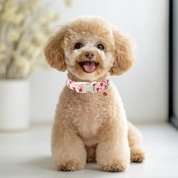 Lucky Ladybug Dog Collar for Giant Large Dogs - Image 6