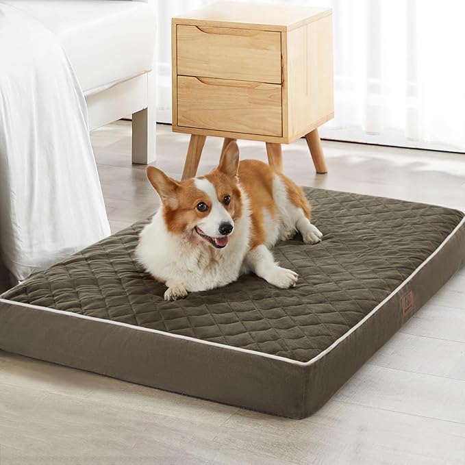 WNPETHOME Orthopedic XXL Dog Beds Large Sized Dog, Waterproof Extra Large Dogs by WNPETHOMEPETSHOME